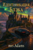 Обложка: Идентификация Блэка (СИ)