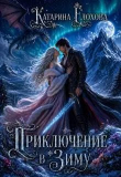 Обложка: Приключение в Зиму (СИ)