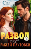 Обложка: Развод из-за рыжей плутовки (СИ)