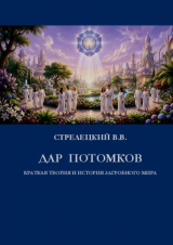 скачать книгу Дар потомков. Краткая теория и история загробного мира (СИ) автора Владимир Стрелецкий